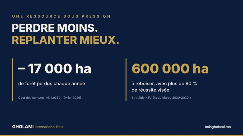 foret marocaine deforestation reboisement