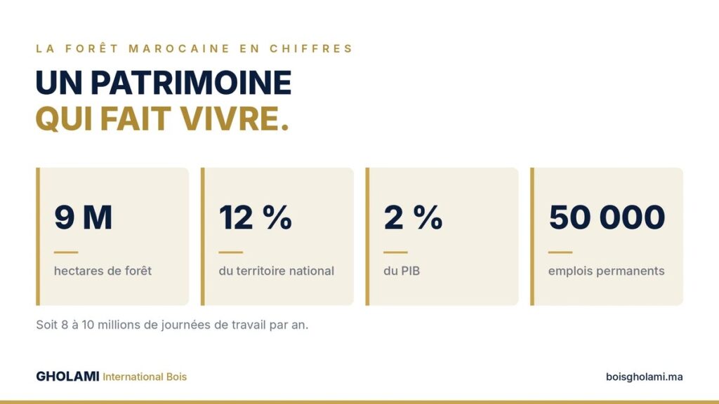 foret marocaine chiffres cles